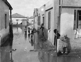 שיטפון המבול ללא מצעים וללא אמצעים