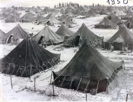 שלג 1950 בישראל