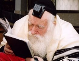 הרב זלמן לייב – גאון וחסיד